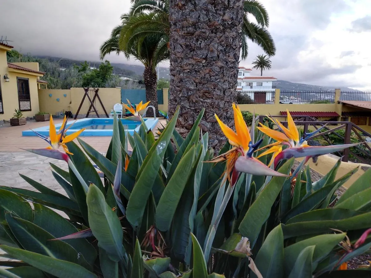 Apartamento La Costa Santa Cruz de Tenerife 0*,