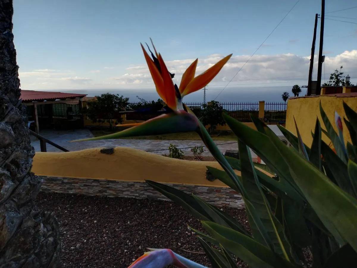 Apartamento La Costa Santa Cruz de Tenerife Spain